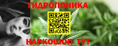 прущие грибы Северобайкальск