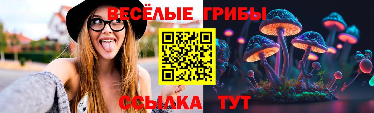 Галлюциногенные грибы прущие грибы  Вход с VPN  дарнет шоп  Ртищево 